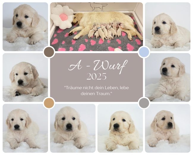 beige-weiss-fotografisch-vision-board-foto-collage.jpg